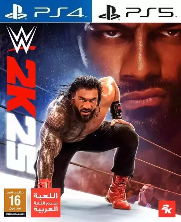wwe25 WWE 2K25 Standard Edition